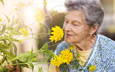 5 activités pour les aînés de profiter pleinement du retour du printemps