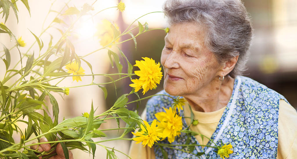 5 activités pour les aînés de profiter pleinement du retour du printemps